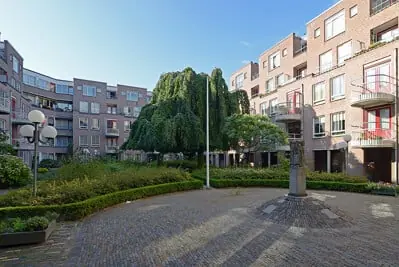 Afbeelding 1 van 5