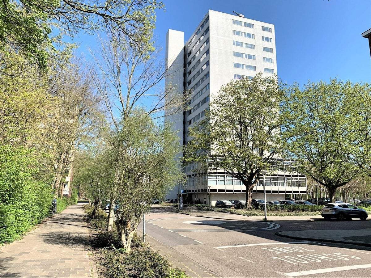 Afbeelding 1 van 22