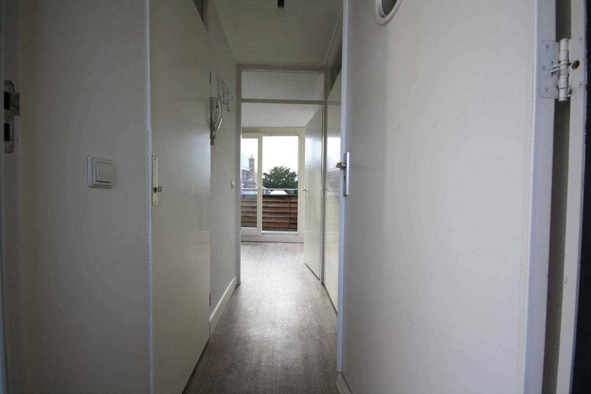 Image 2 of 12