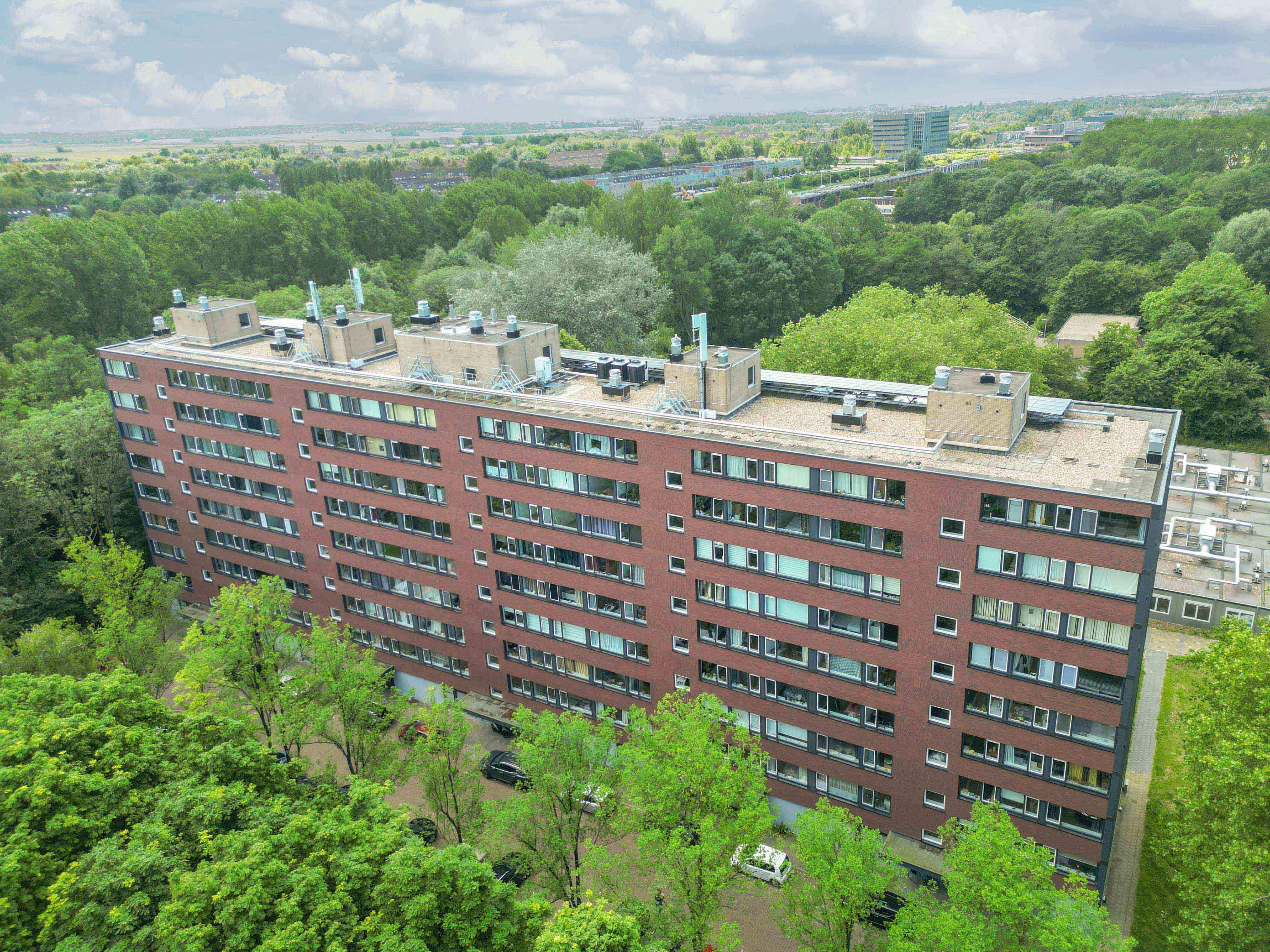 Afbeelding 1 van 6