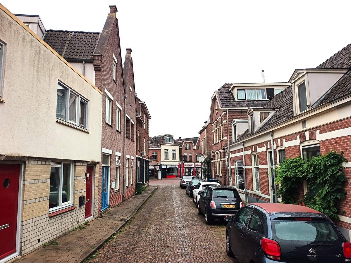 Afbeelding 3 van 20