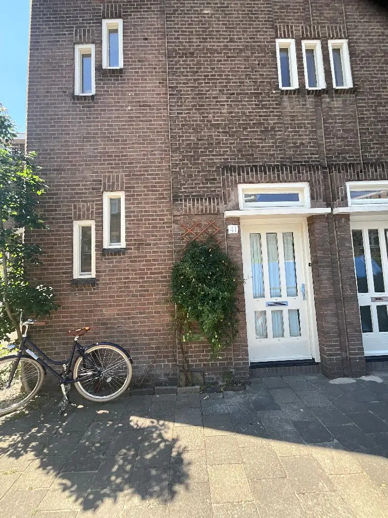 Afbeelding 1 van 4