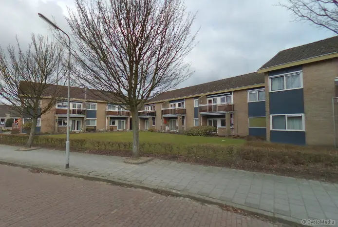 Afbeelding 1 van 1
