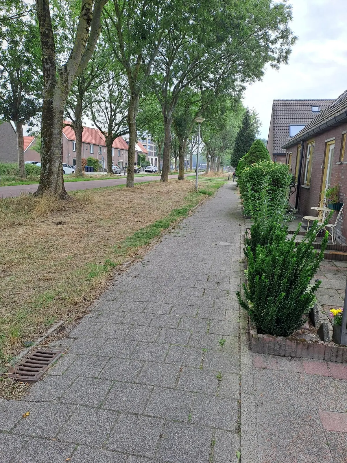 Bild 5 von 9