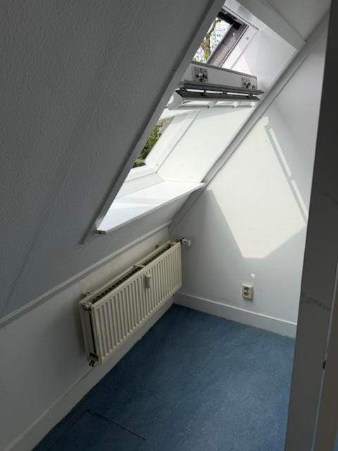 Bild 7 von 15