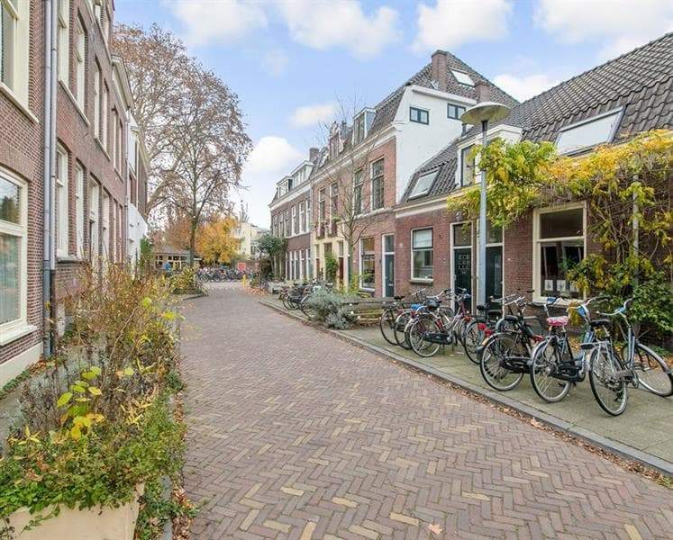 Afbeelding 12 van 12