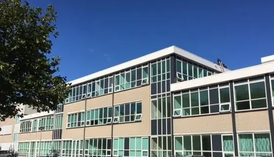Image 2 of 14