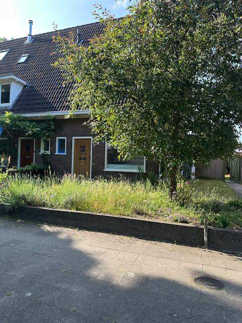 Afbeelding 1 van 15