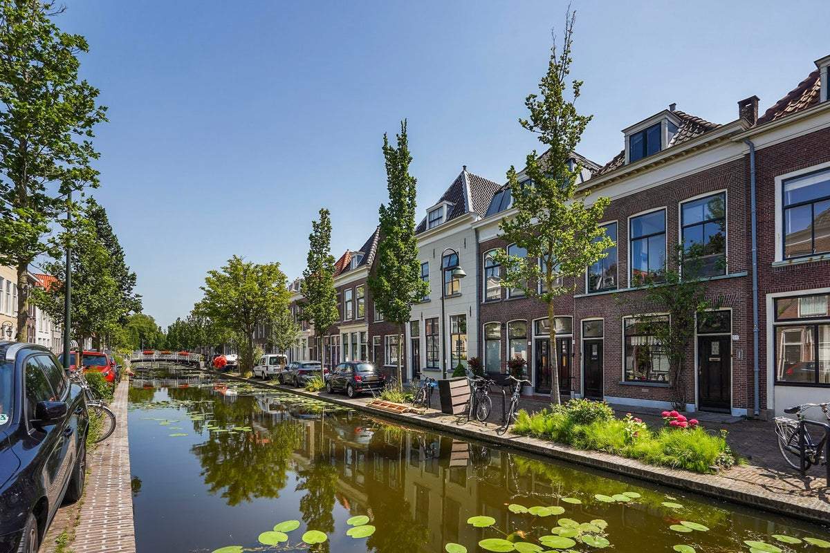Afbeelding 1 van 74