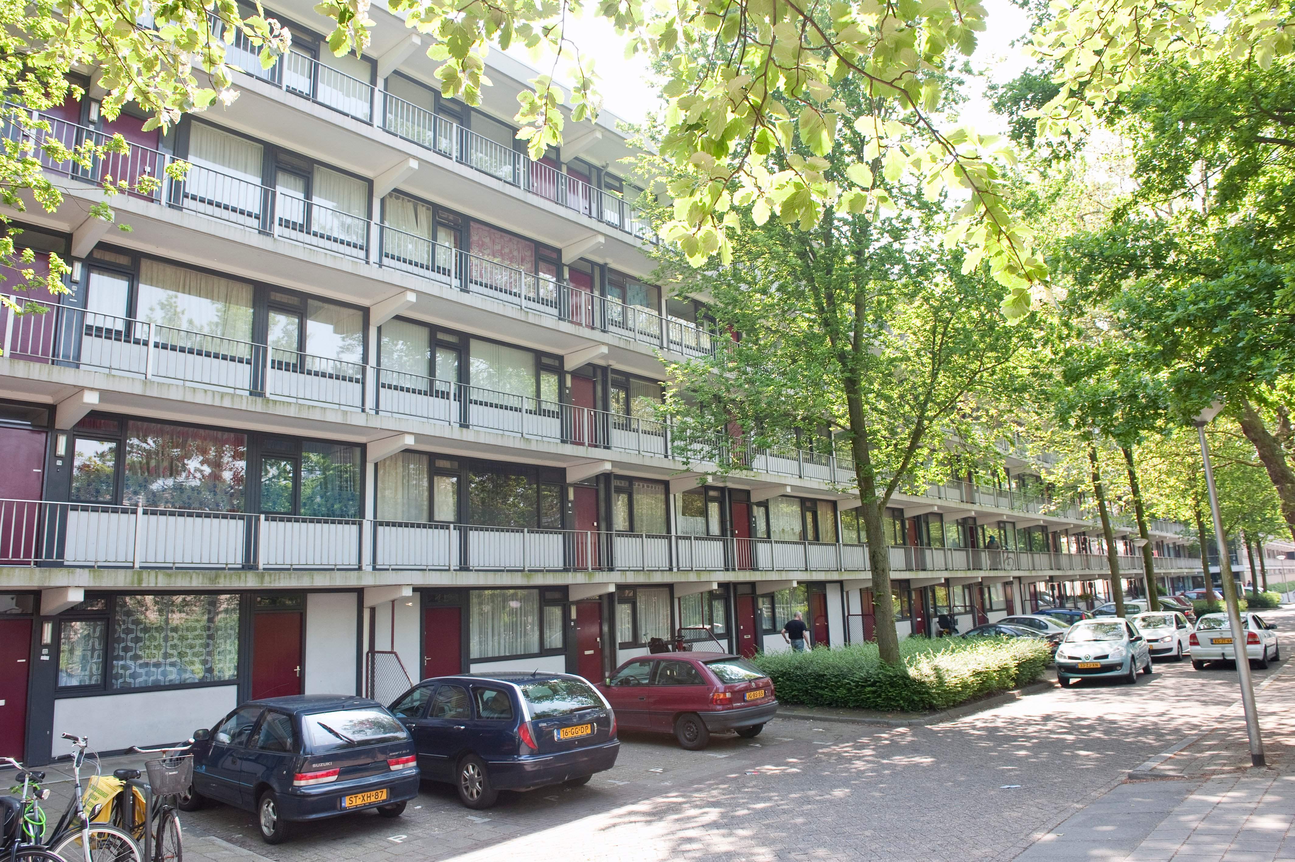 Afbeelding 1 van 5