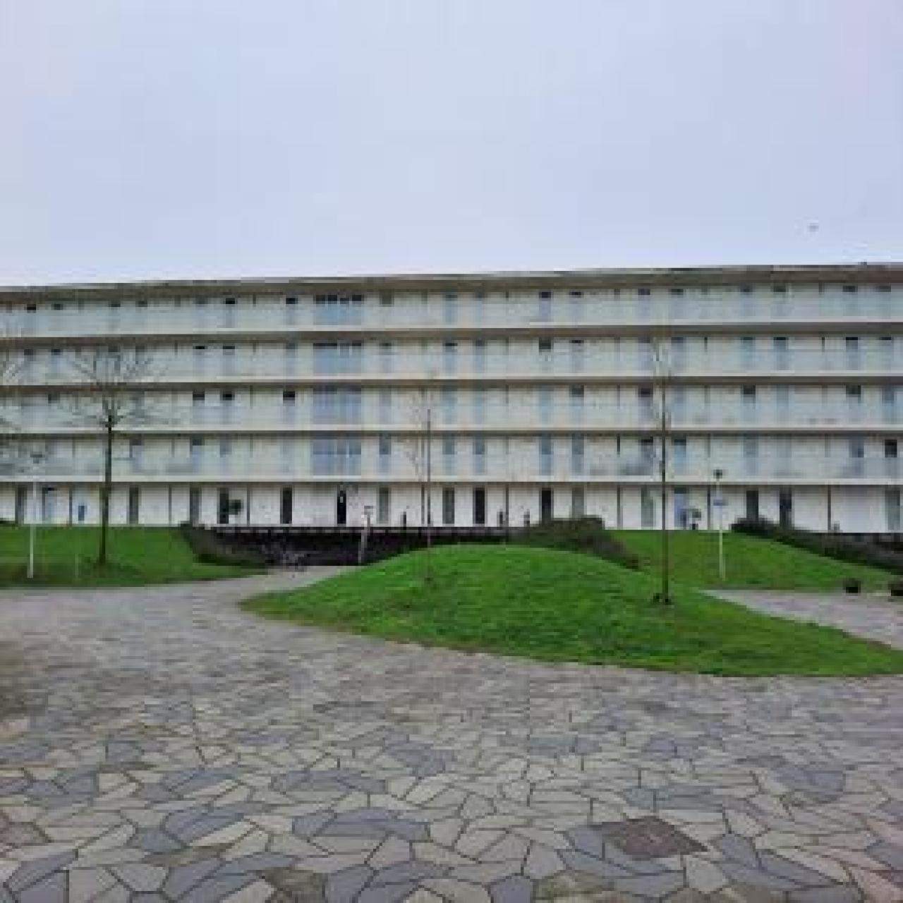 Afbeelding 6 van 7