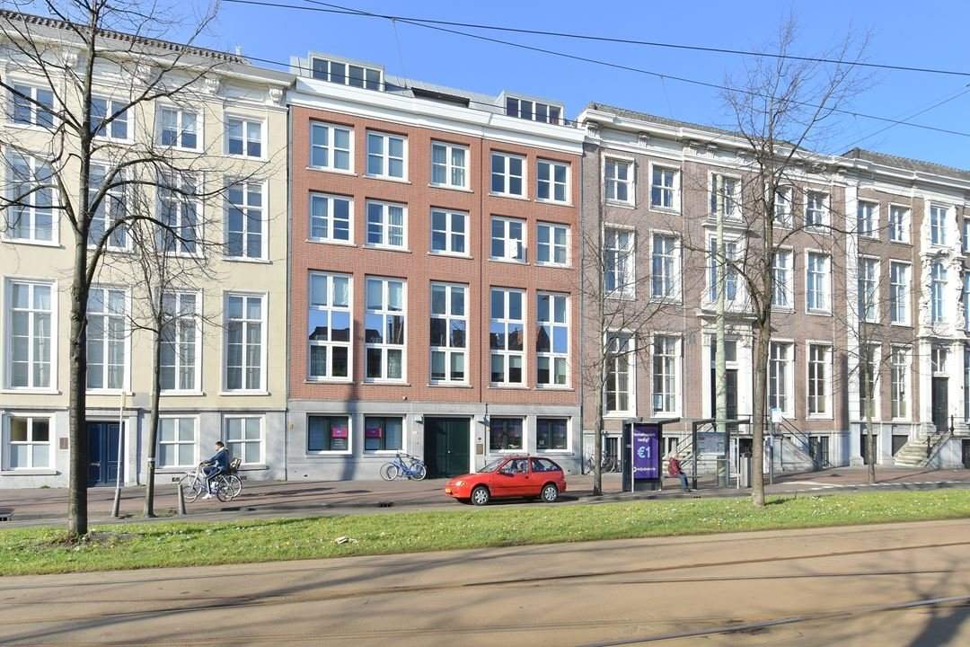 Afbeelding 1 van 12
