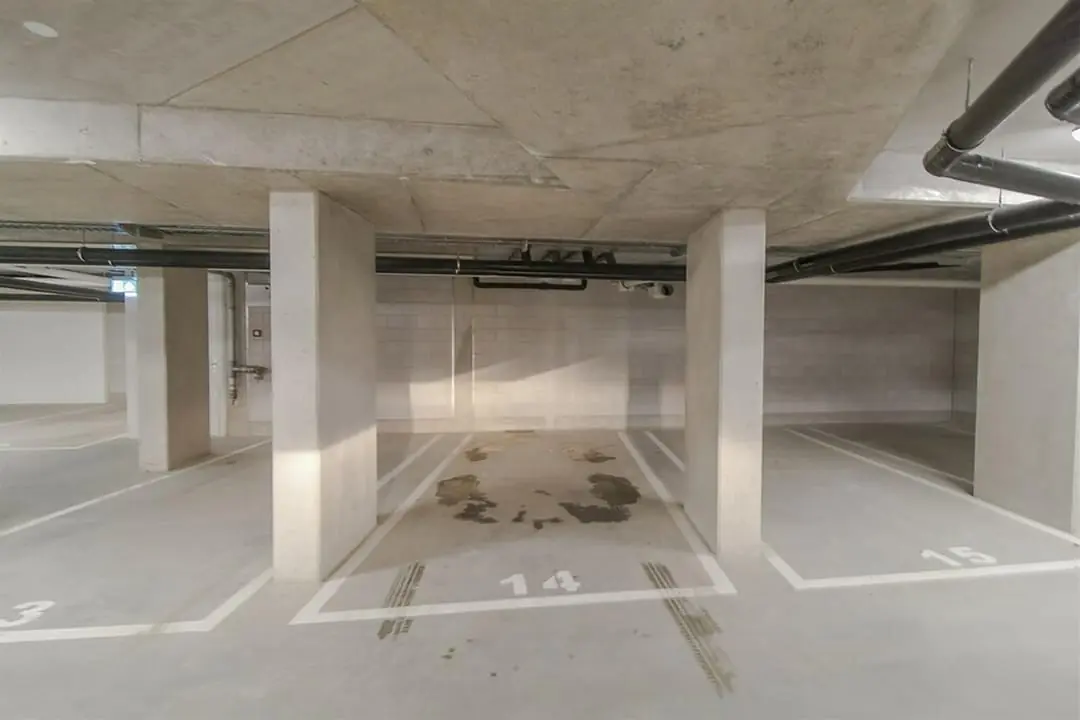 Image 23 of 25