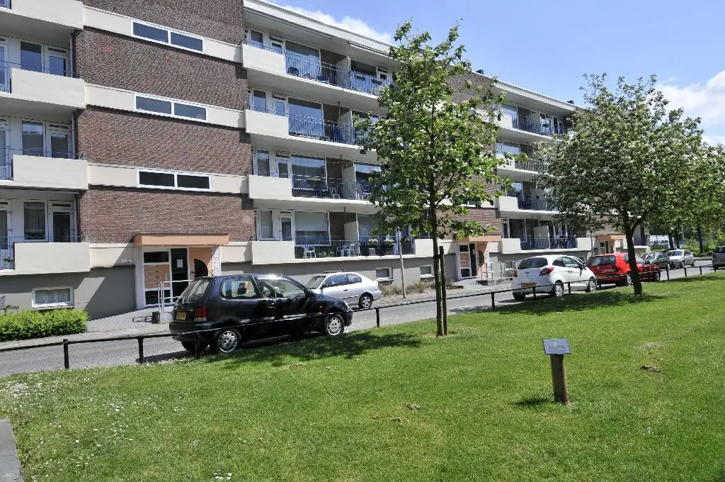 Afbeelding 1 van 6