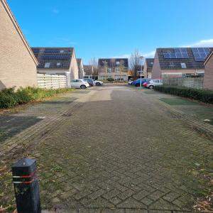 Afbeelding 6 van 6