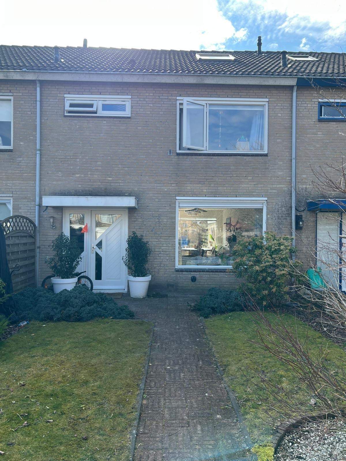Afbeelding 1 van 16