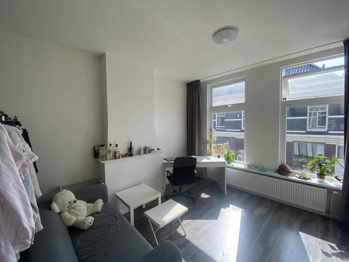 Bild 4 von 8