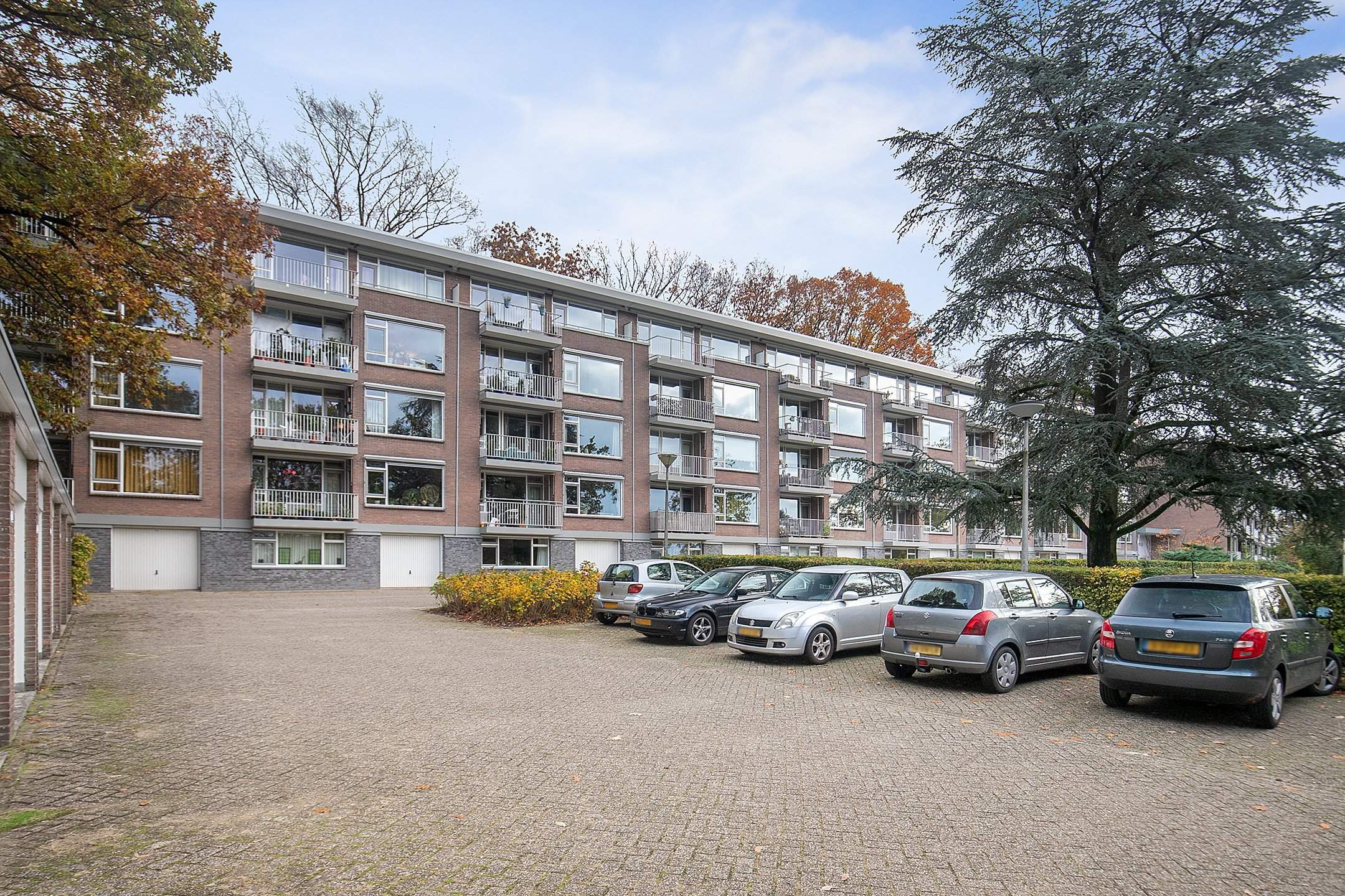 Afbeelding 25 van 25
