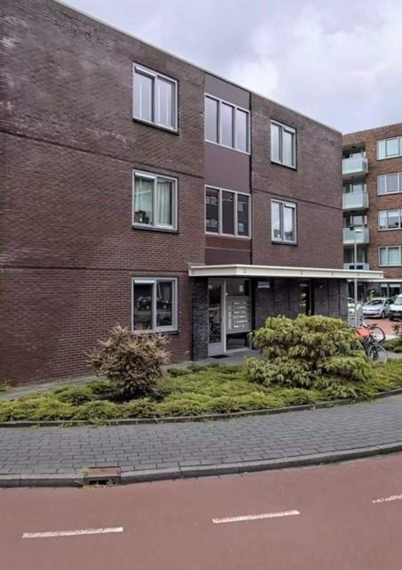 Afbeelding 3 van 9