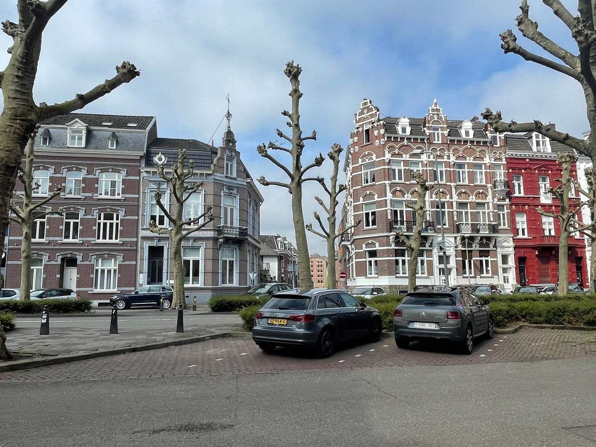 Image 2 of 21