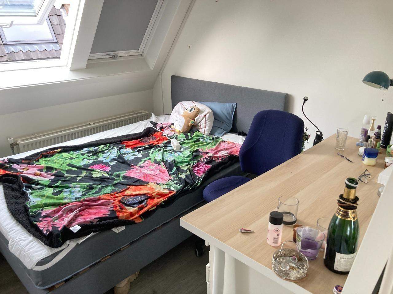 Afbeelding 2 van 10