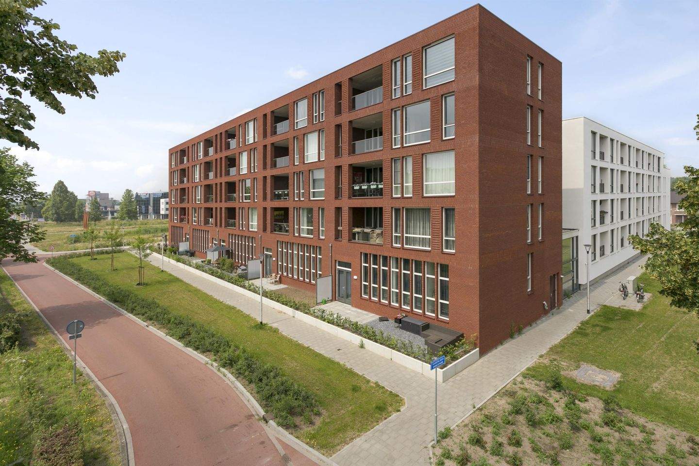 Afbeelding 1 van 8