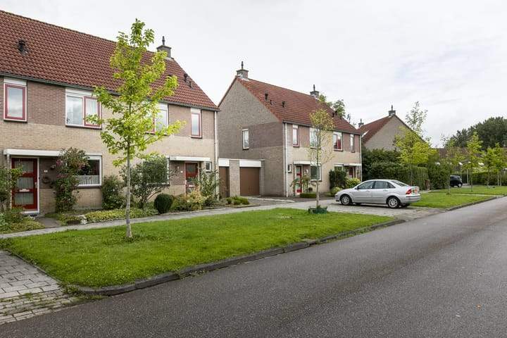 Afbeelding 1 van 21