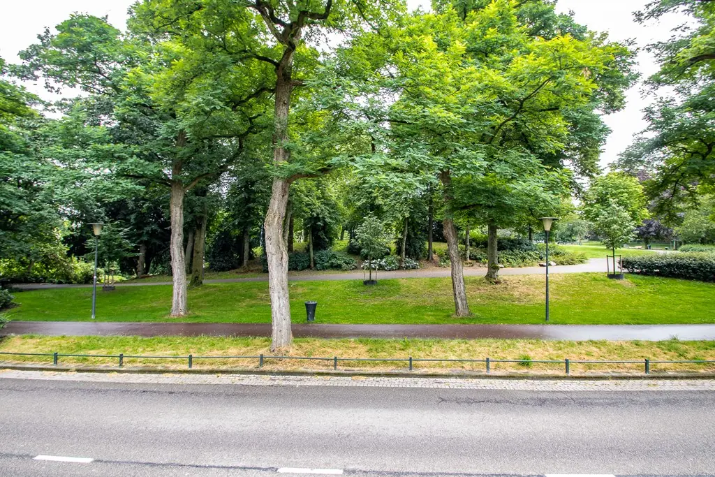 Afbeelding 20 van 20