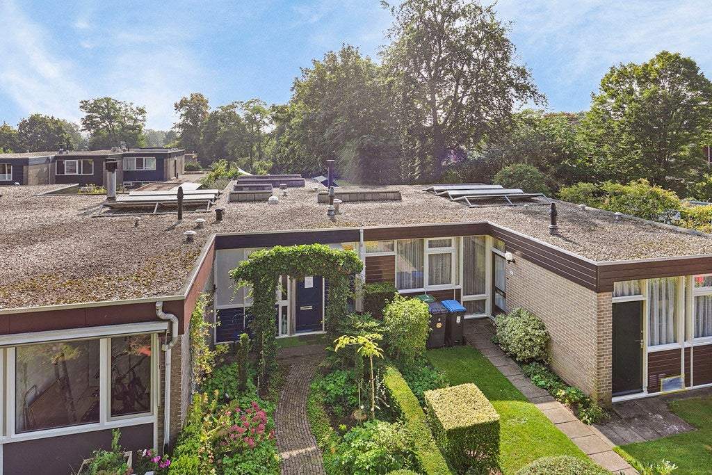 Afbeelding 3 van 32