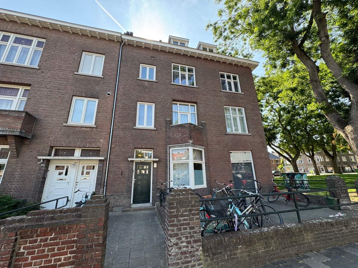 Afbeelding 1 van 13