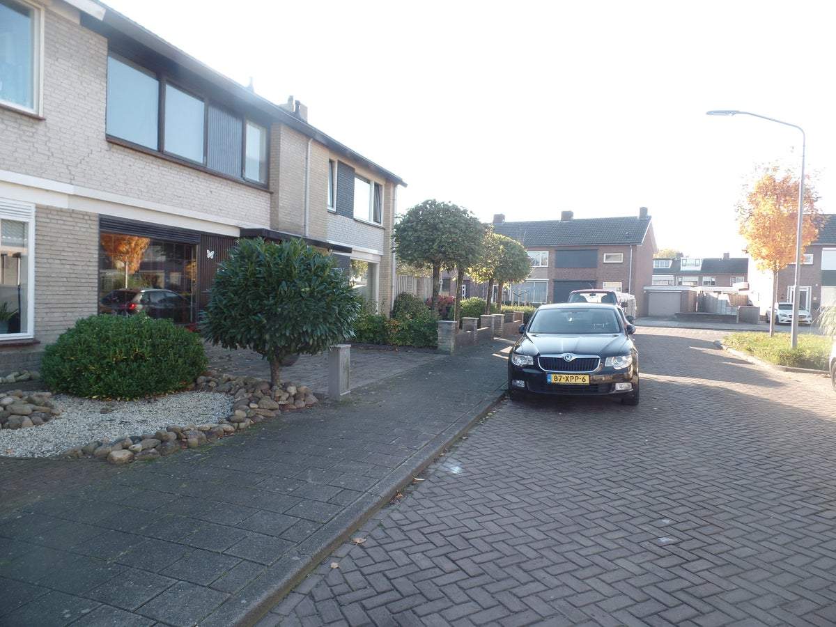 Image 25 of 25