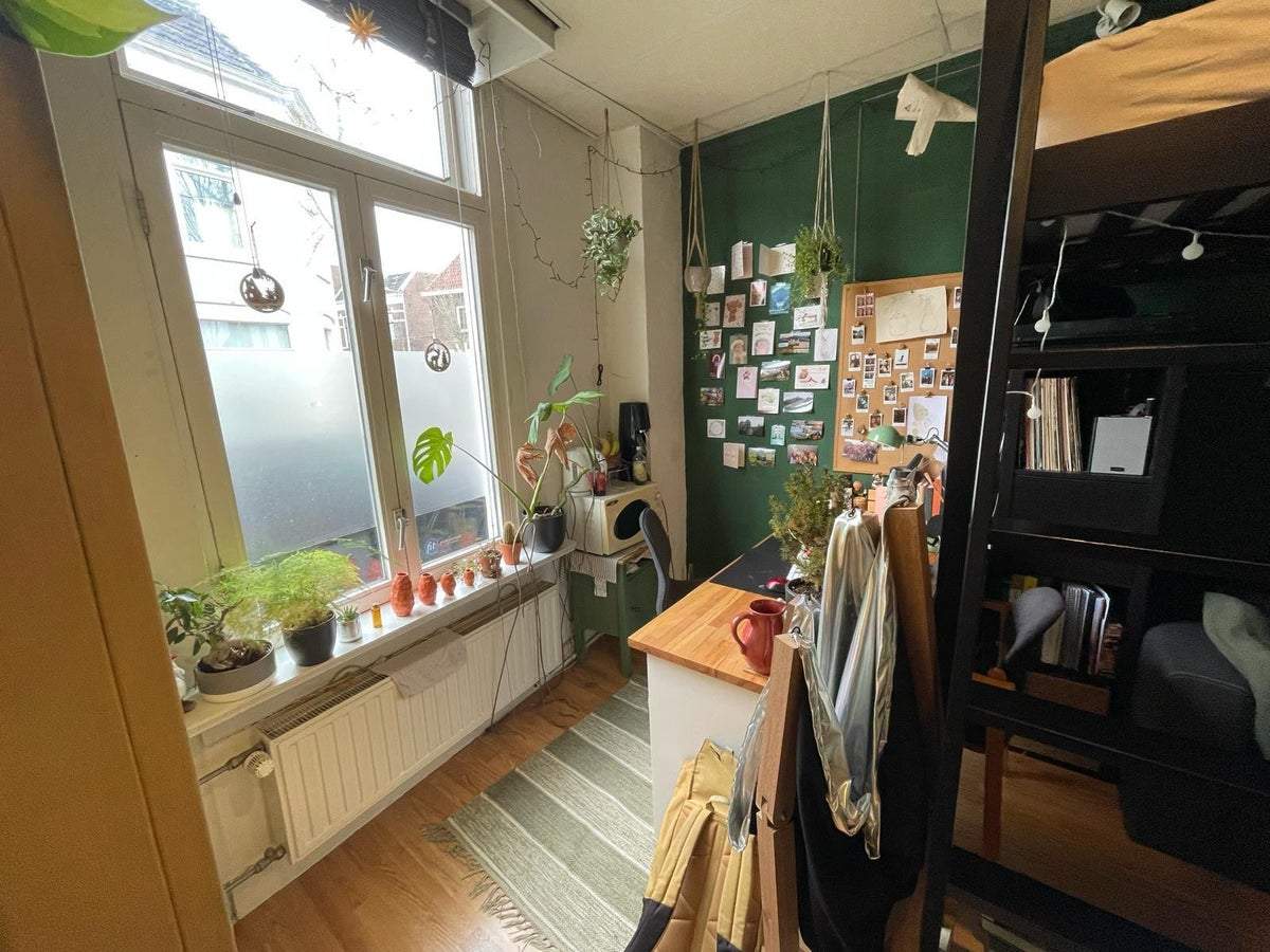 Bild 3 von 9