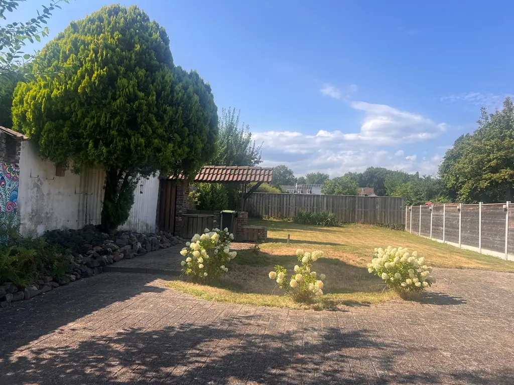 Image 12 of 19