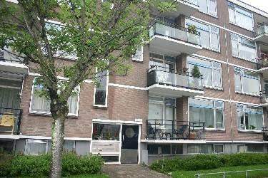 Afbeelding 1 van 8