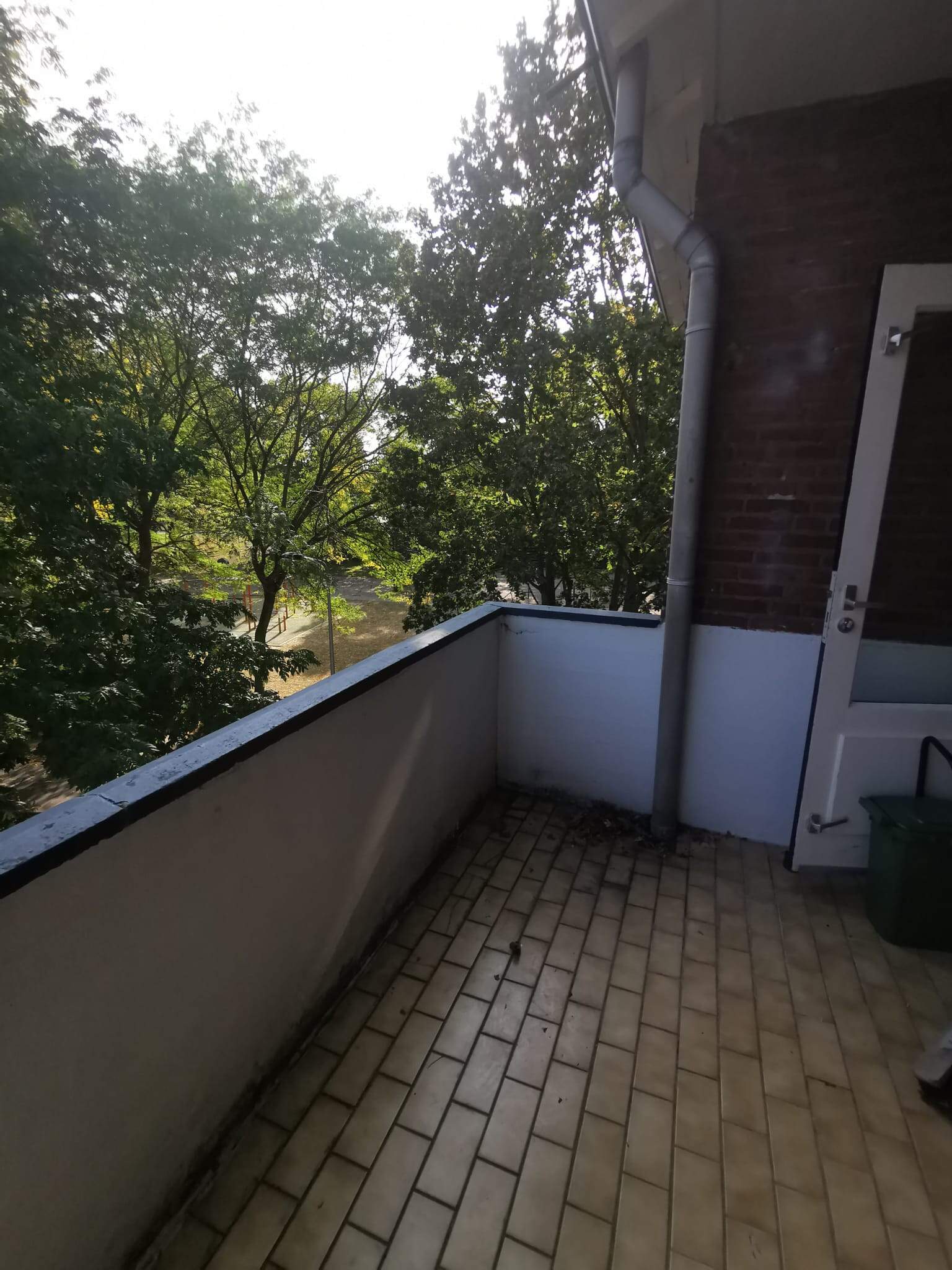 Image 9 of 14