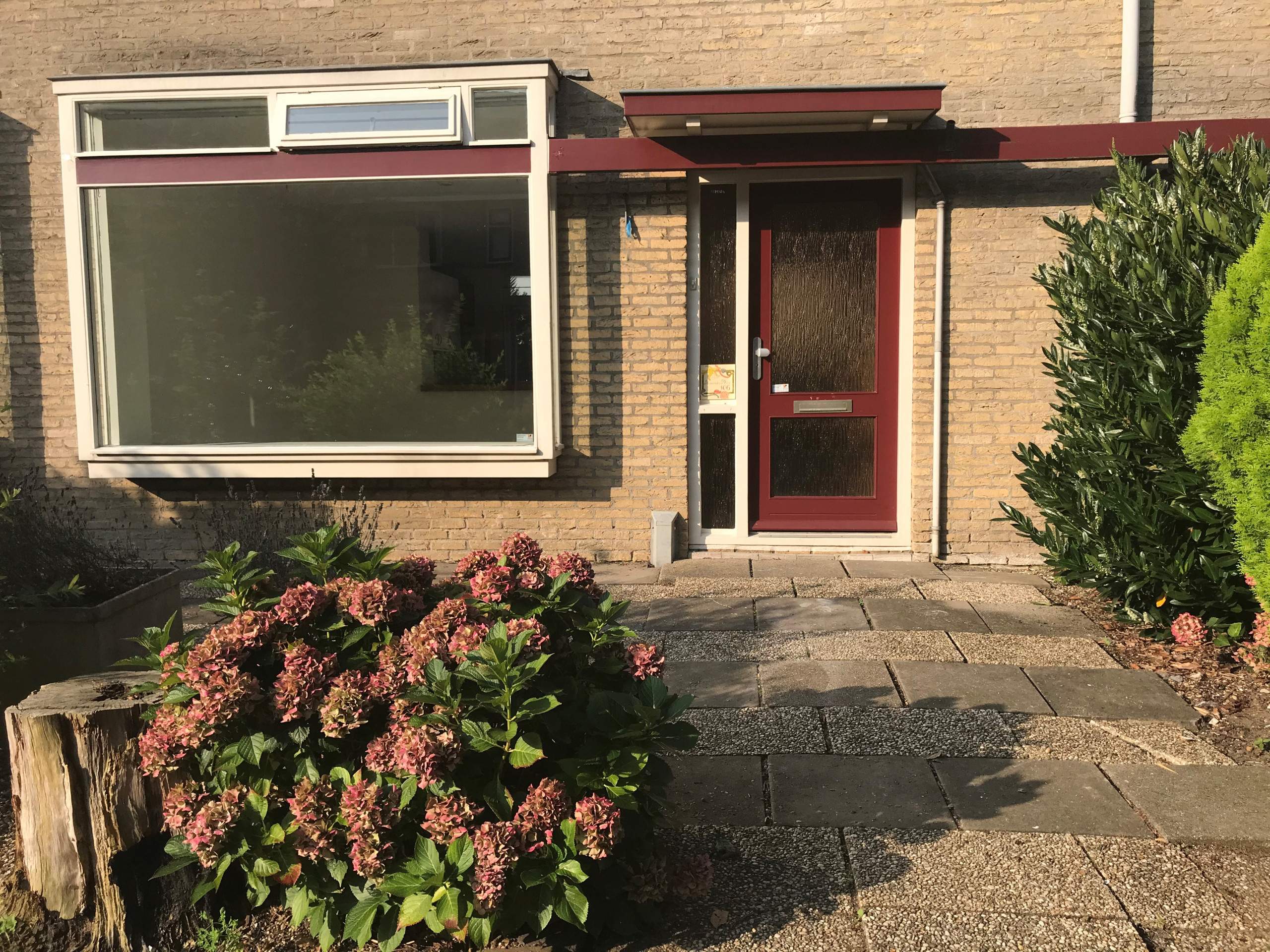 Afbeelding 1 van 7