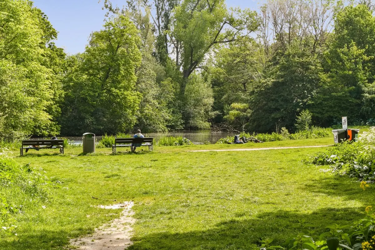 Image 21 of 24