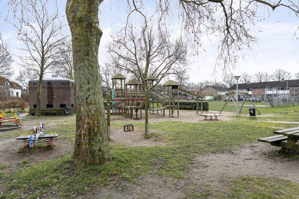 Afbeelding 25 van 31