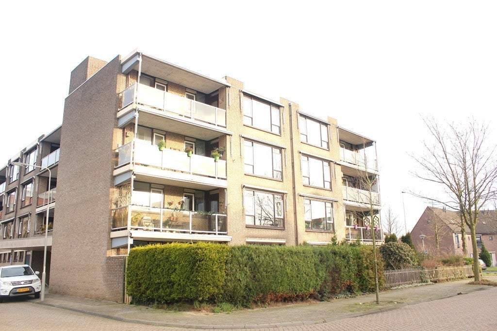 Afbeelding 1 van 24