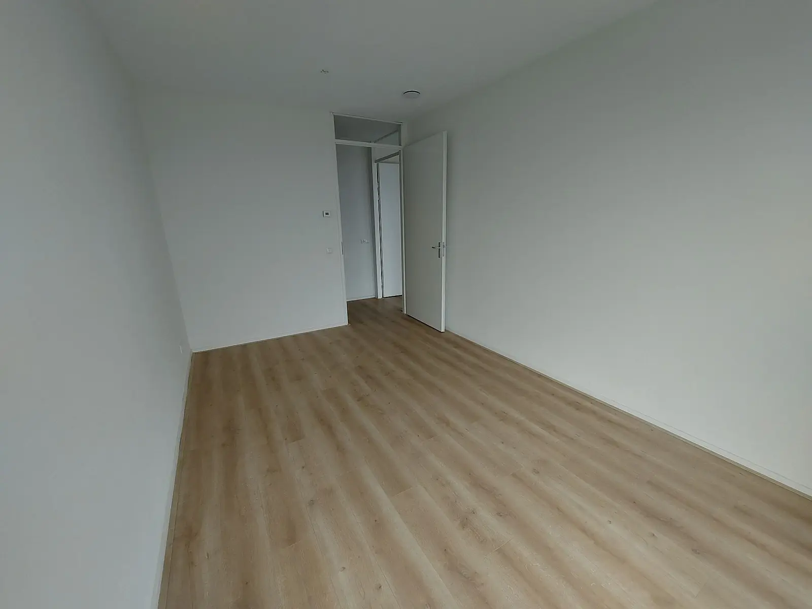 Image 7 of 8
