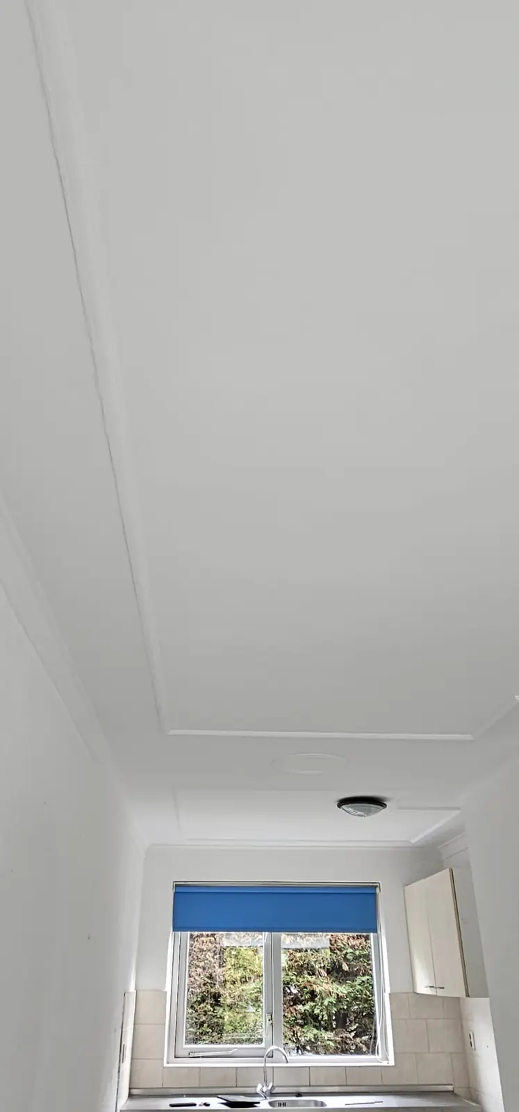 Image 6 of 7