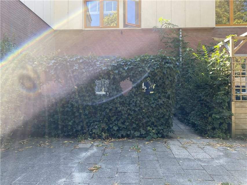 Image 2 of 7