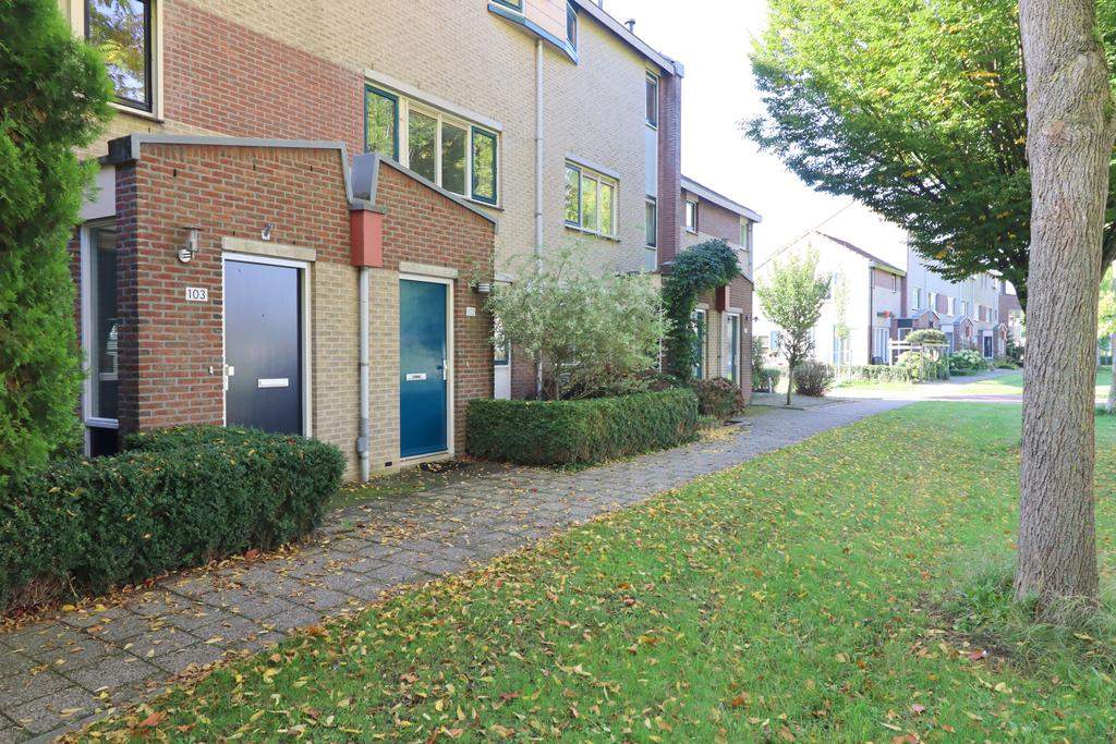 Afbeelding 2 van 42