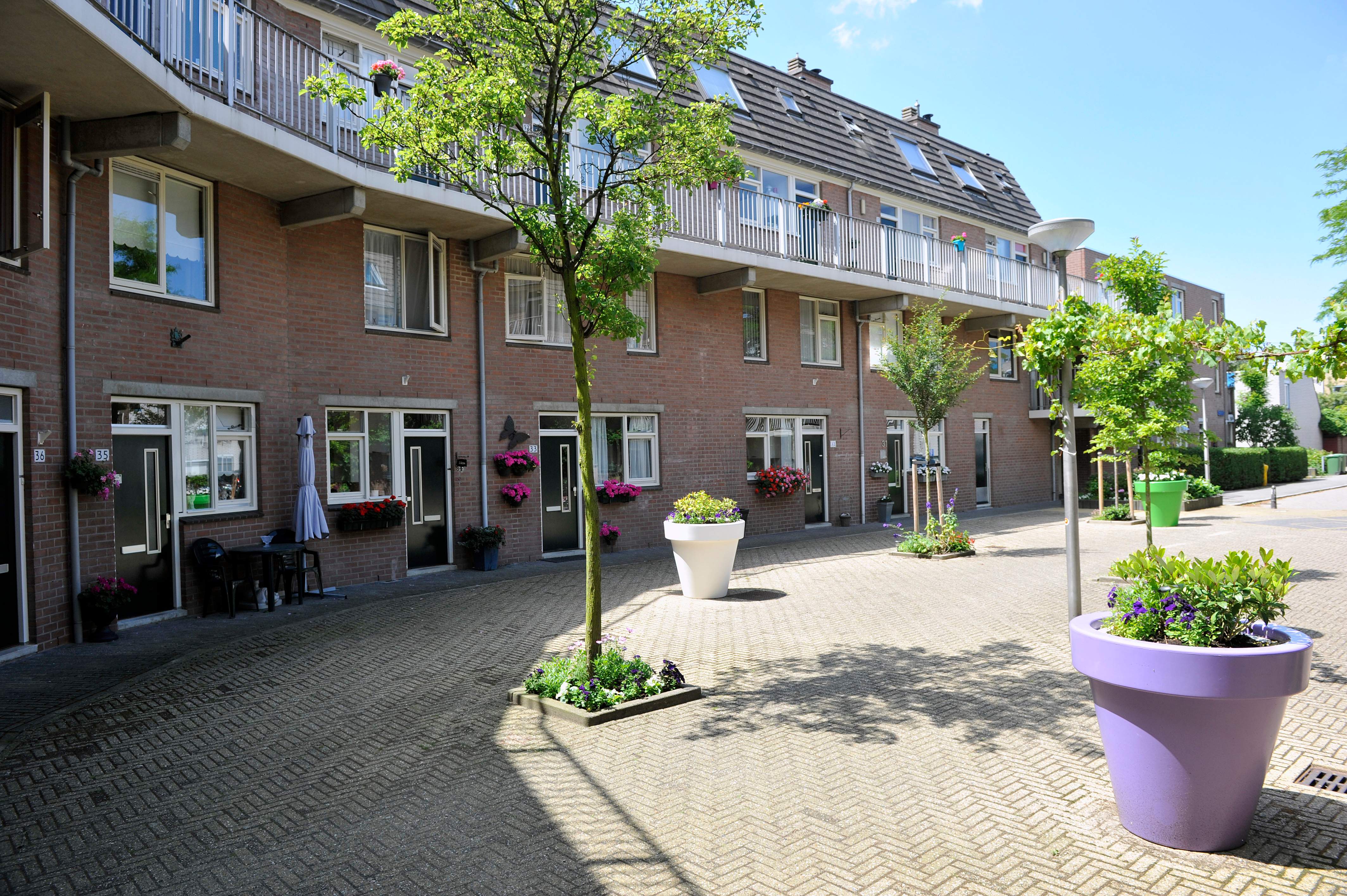 Afbeelding 3 van 6