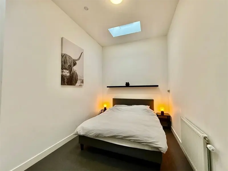Image 6 of 7