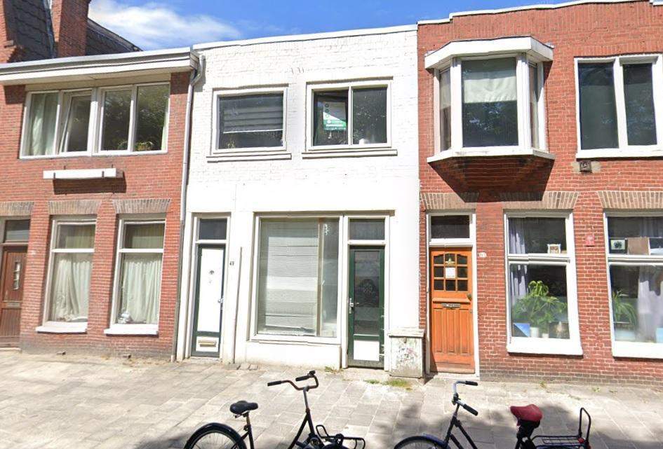 Afbeelding 1 van 8
