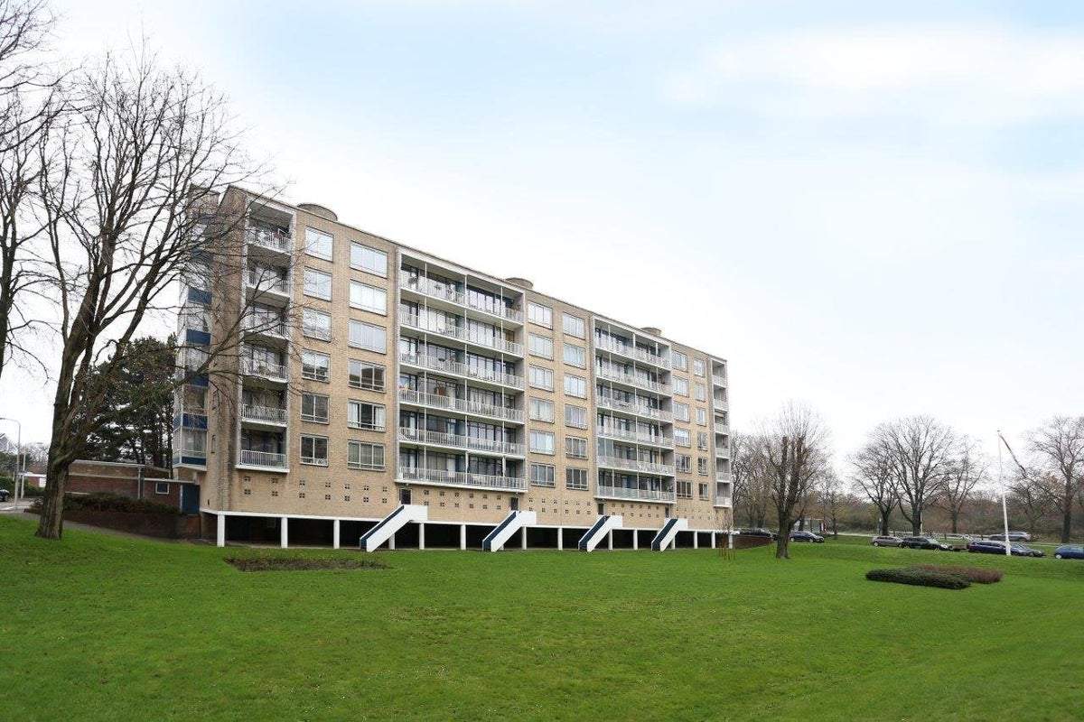 Image 36 of 36