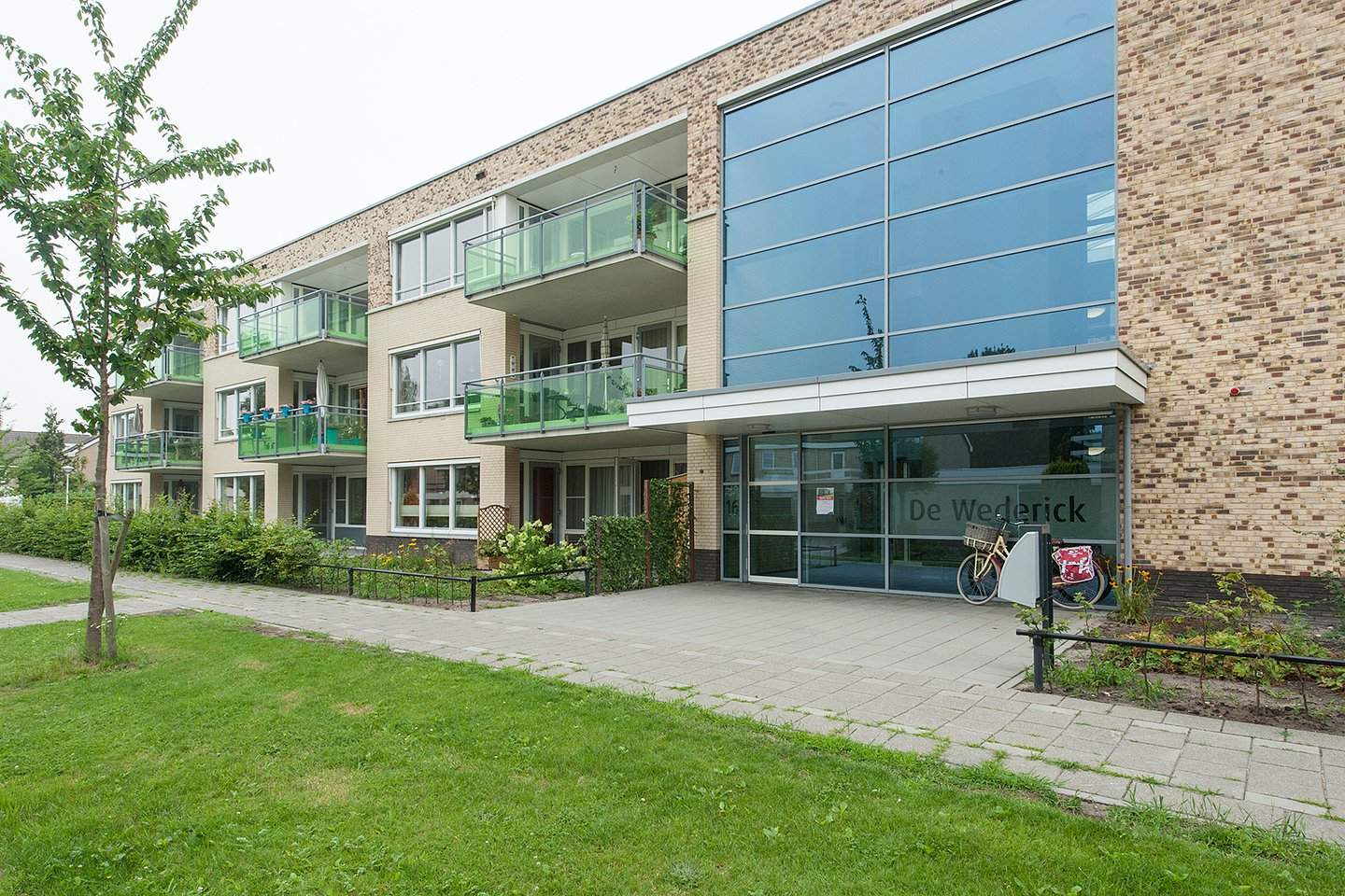 Afbeelding 1 van 12