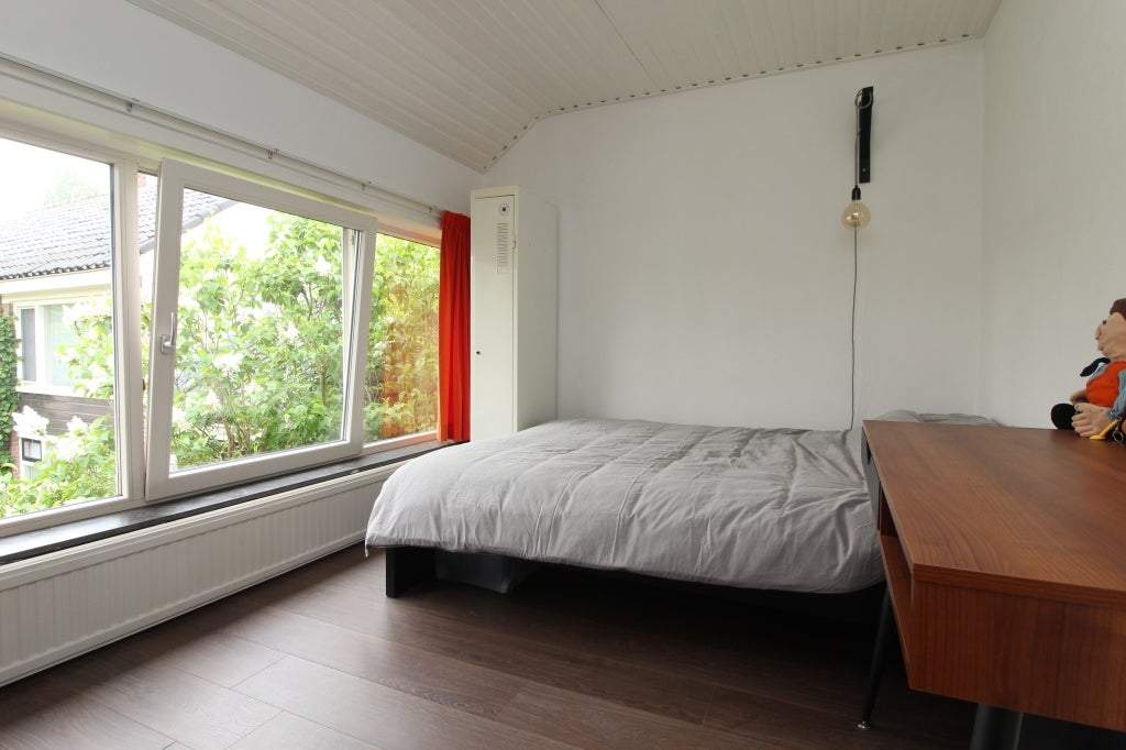 Bild 15 von 41