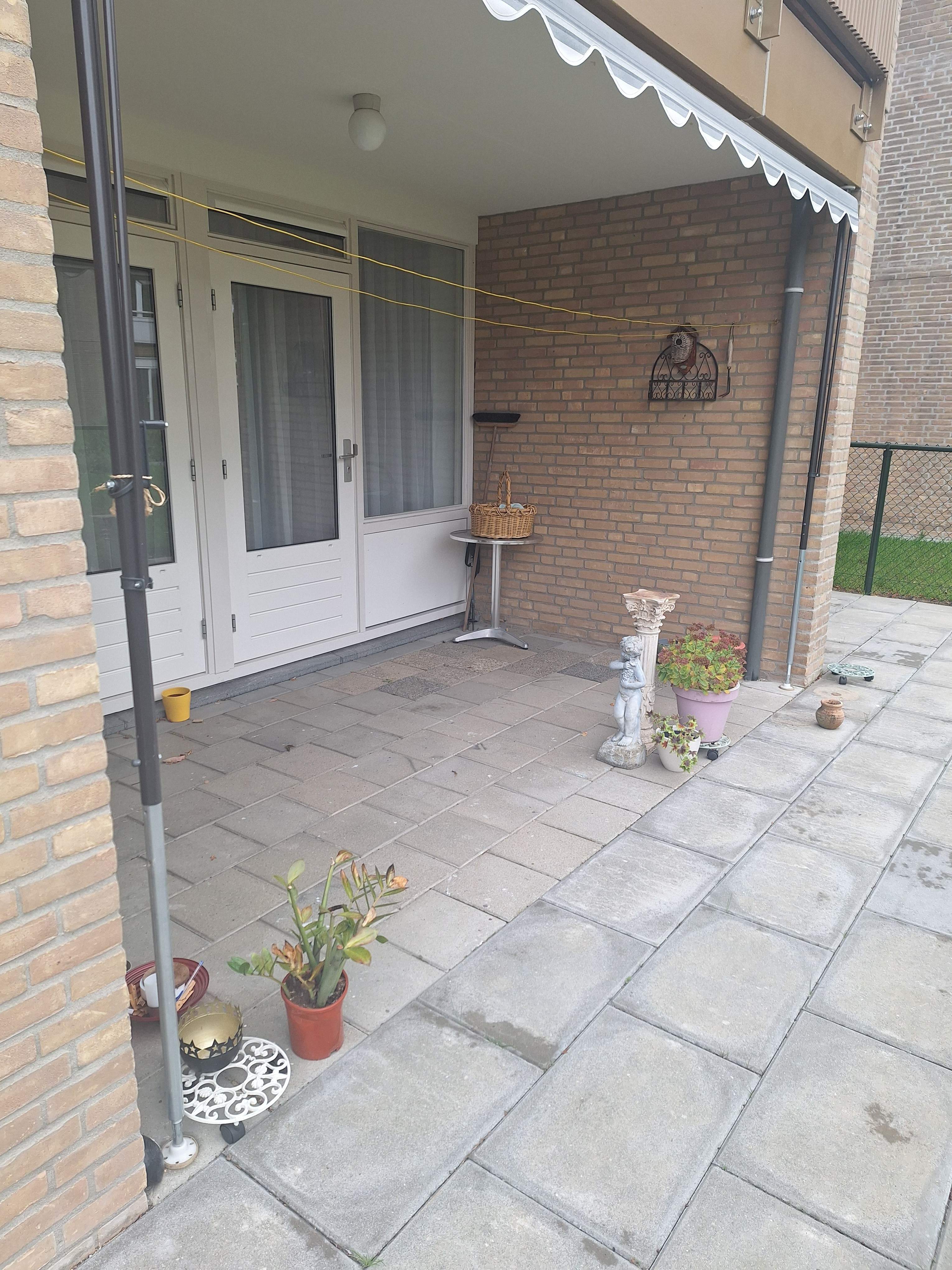 Afbeelding 2 van 13